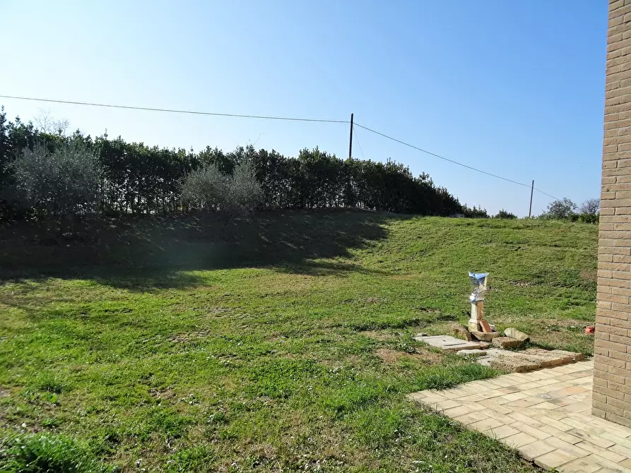 Immagine 20 di Terreno agricolo in vendita  a Senigallia