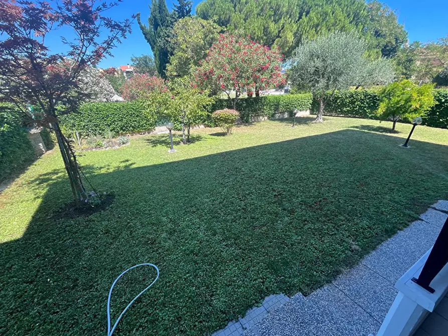 Immagine 3 di Appartamento in vendita  a Senigallia