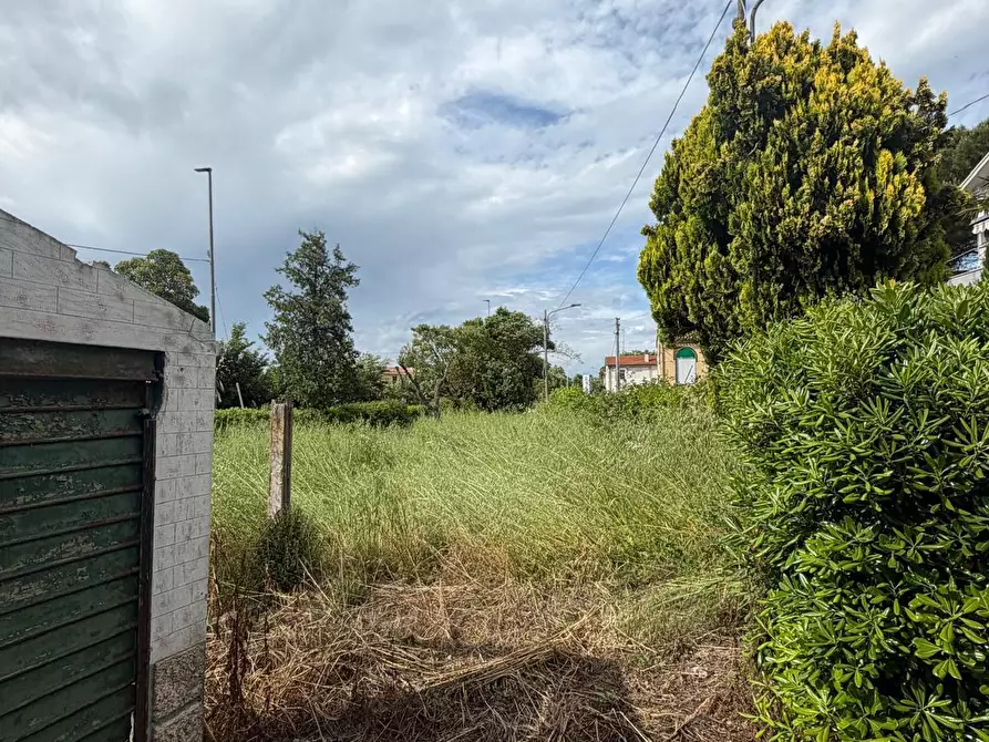 Immagine 29 di Casa bifamiliare in vendita  in Strada Comunale-Vallone a Senigallia