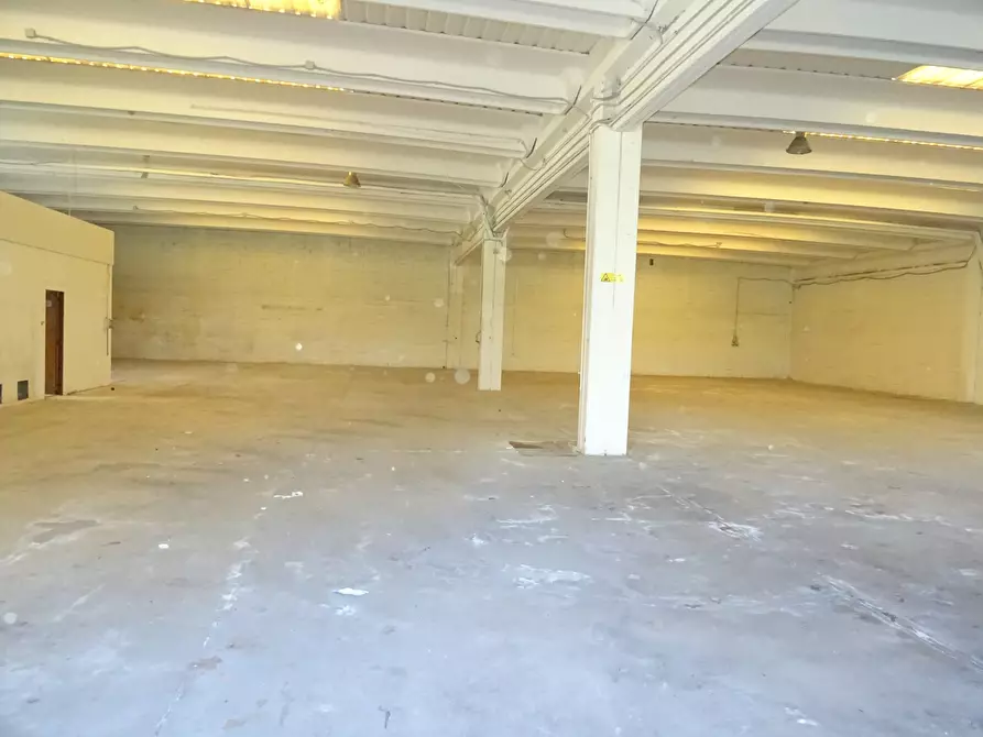 Immagine 11 di Attività artigianale in vendita  a Monte Porzio