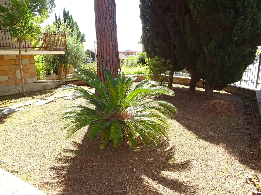 Immagine 10 di Villa in vendita  a Corinaldo