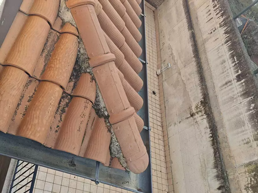 Immagine 20 di Trilocale in vendita  a Ostra Vetere