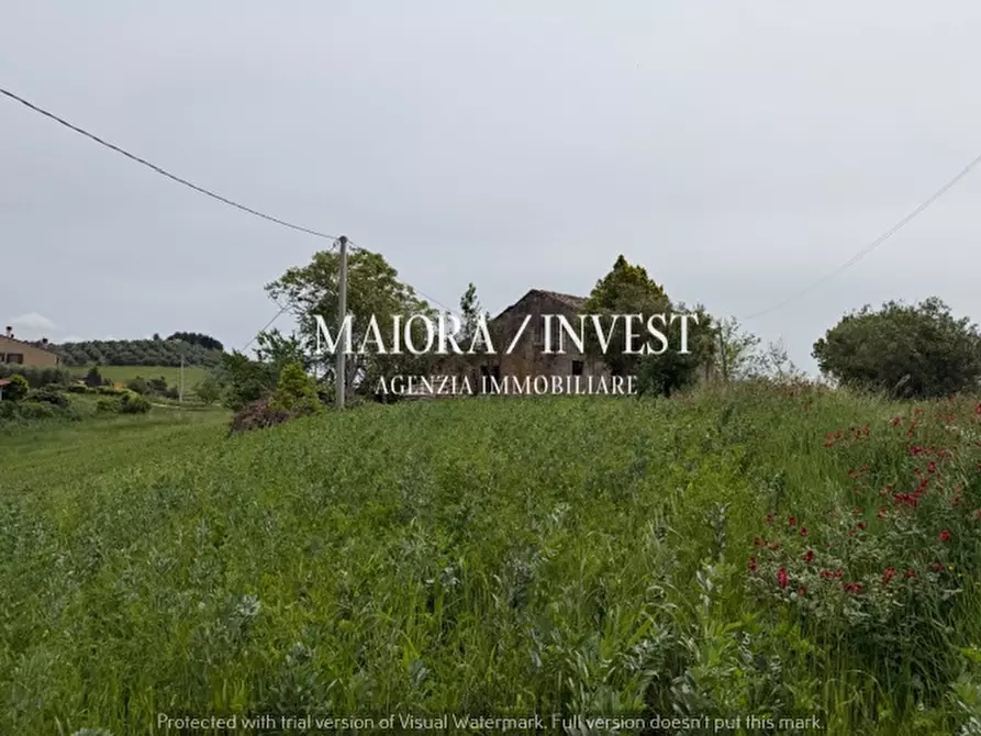 Immagine 14 di Rustico / casale in vendita  a Acquaviva Picena