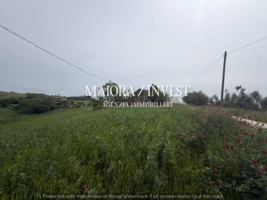 Immagine 13 di Rustico / casale in vendita  a Acquaviva Picena