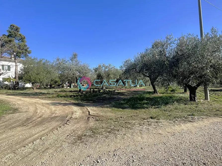 Immagine 44 di Rustico / casale in vendita  a Loreto Aprutino