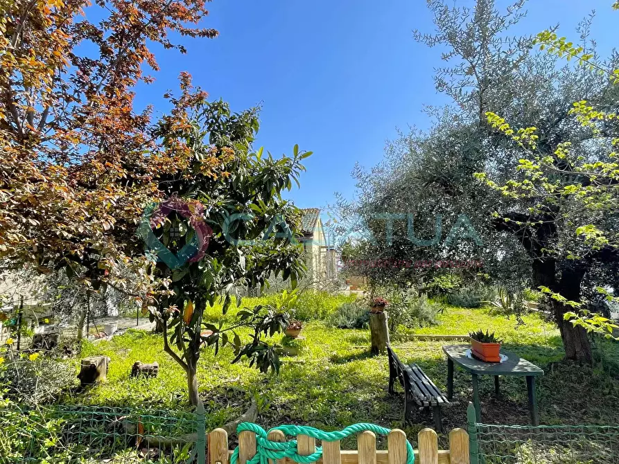 Immagine 7 di Porzione di casa in vendita  a Silvi