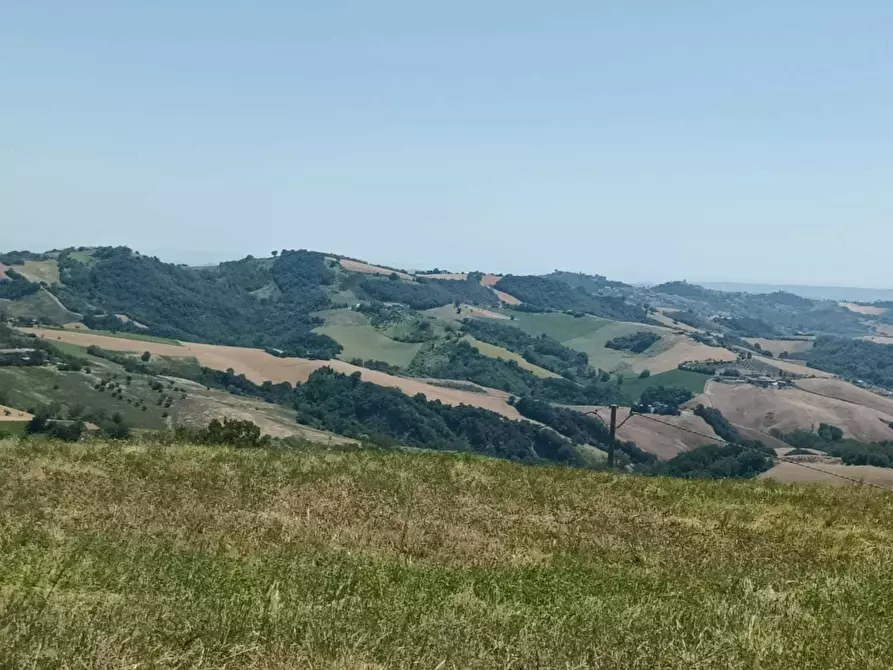Immagine 21 di Terreno agricolo in vendita  a Farindola