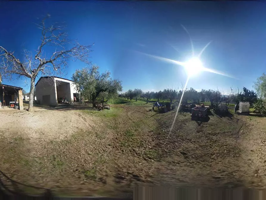 Immagine 46 di Rustico / casale in vendita  a Loreto Aprutino