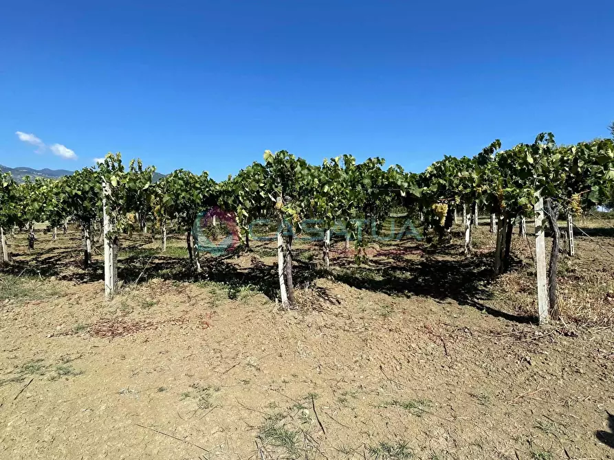 Immagine 2 di Casa indipendente in vendita  a Civitella Casanova