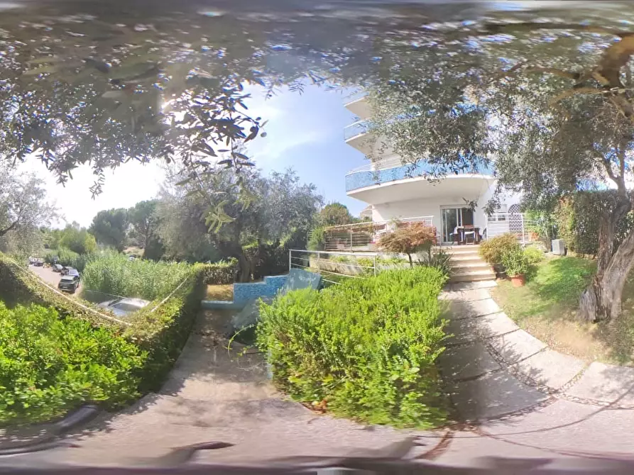 Immagine 44 di Trilocale in vendita  a Pineto