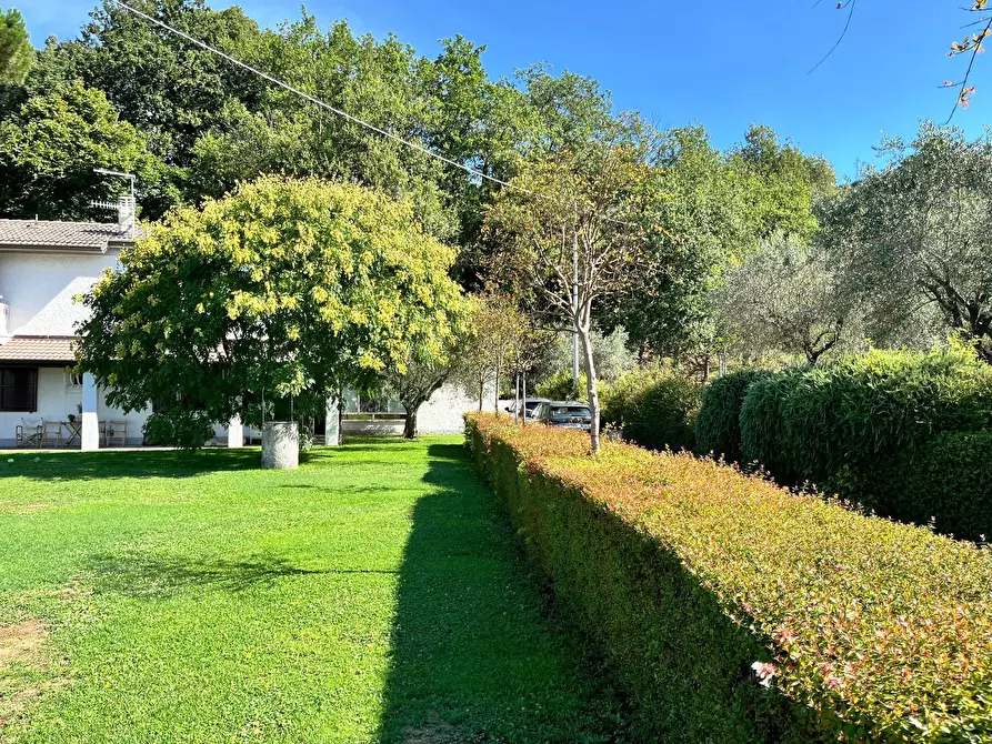 Immagine 18 di Rustico / casale in vendita  in Via Soggia 6 a Sarzana