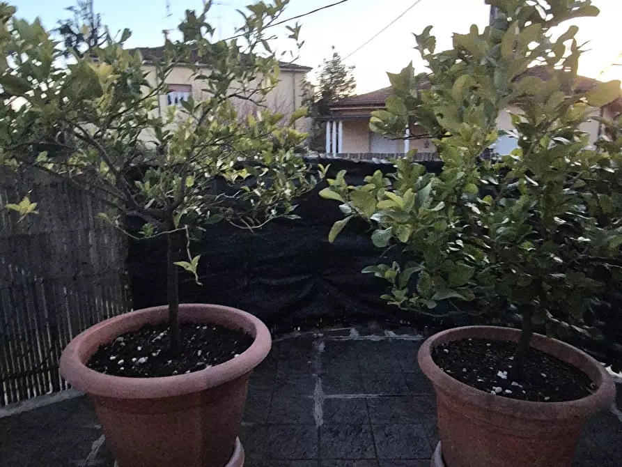 Immagine 27 di Casa indipendente in vendita  in Via San Francesco 47 a Sarzana