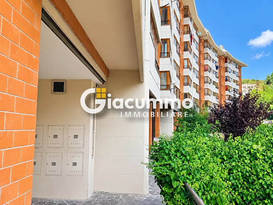 Immagine 32 di Pentalocale in affitto  in Via delle Medaglie Olimpiche a Potenza