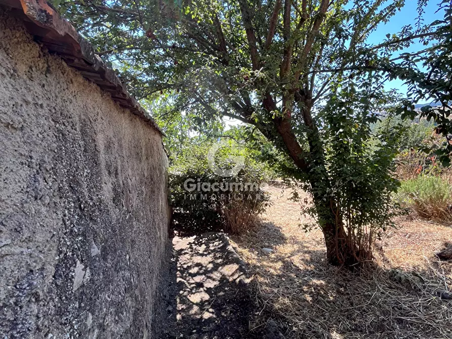 Immagine 23 di Casa indipendente in vendita  in Largo Gagliardi a Avigliano
