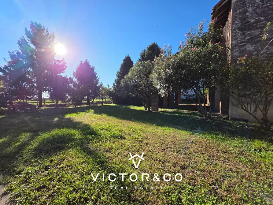 Immagine 20 di Casa indipendente in vendita  in Corso G. Mazzini sn a Vespolate