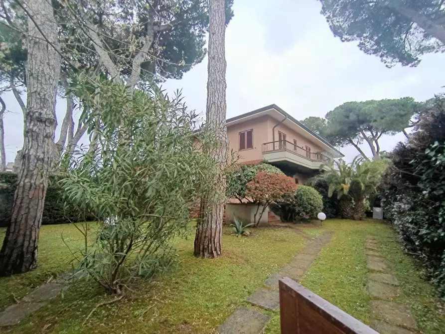 Immagine 18 di Trilocale in affitto  a Massa