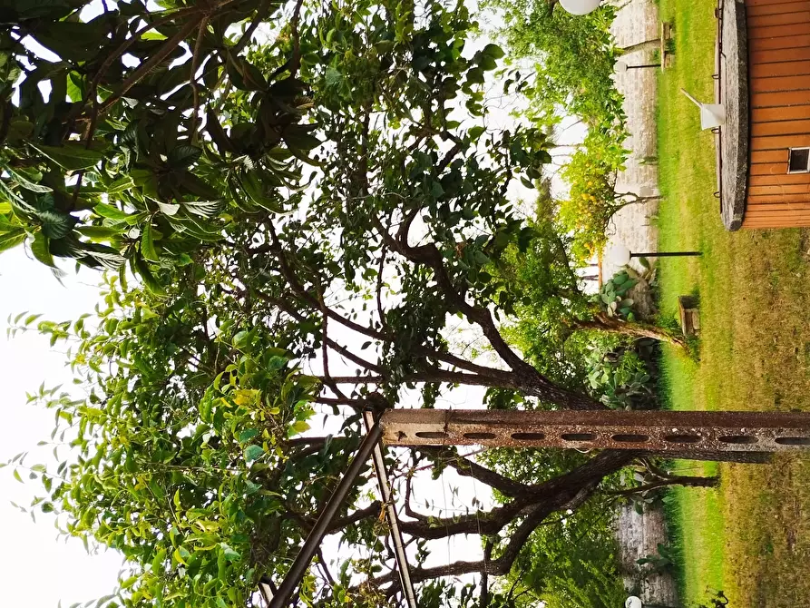 Immagine 2 di Villa in vendita  in Via Silene 30B a Anzio