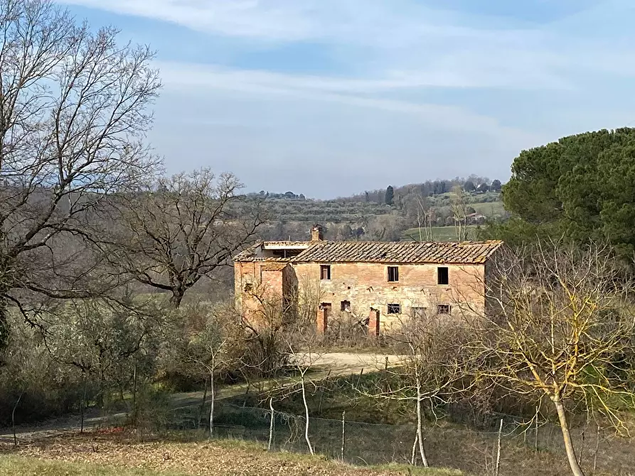 Immagine 1 di Rustico / casale in vendita  in località san vincenzino 45 a Chiusi