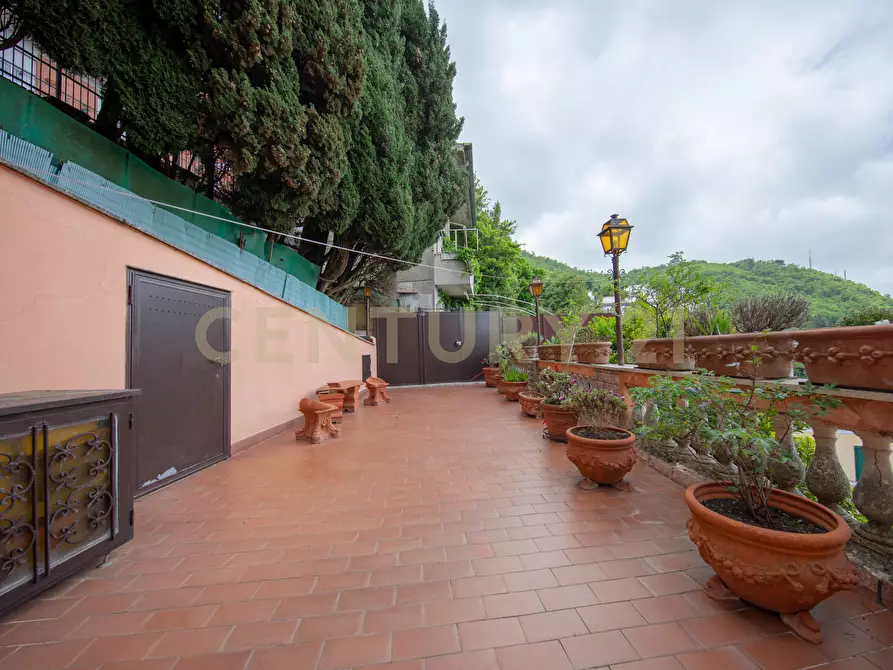 Immagine 45 di Pentalocale in vendita  in Viale Madonna del Tufo 26 a Rocca Di Papa