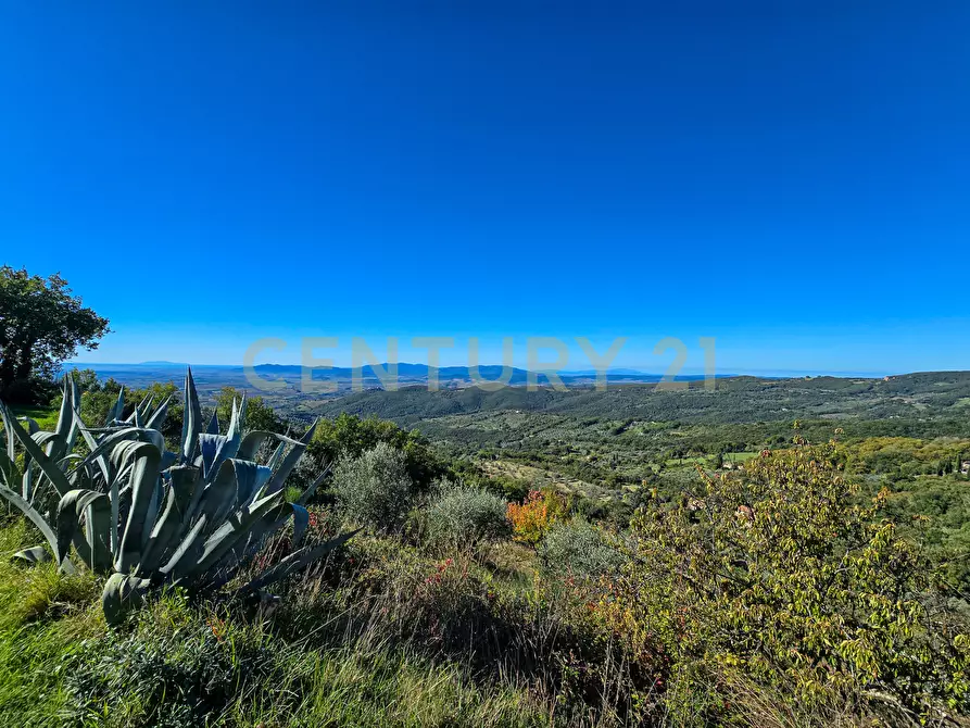 Immagine 33 di Villa in vendita  in località le coste a Roccastrada