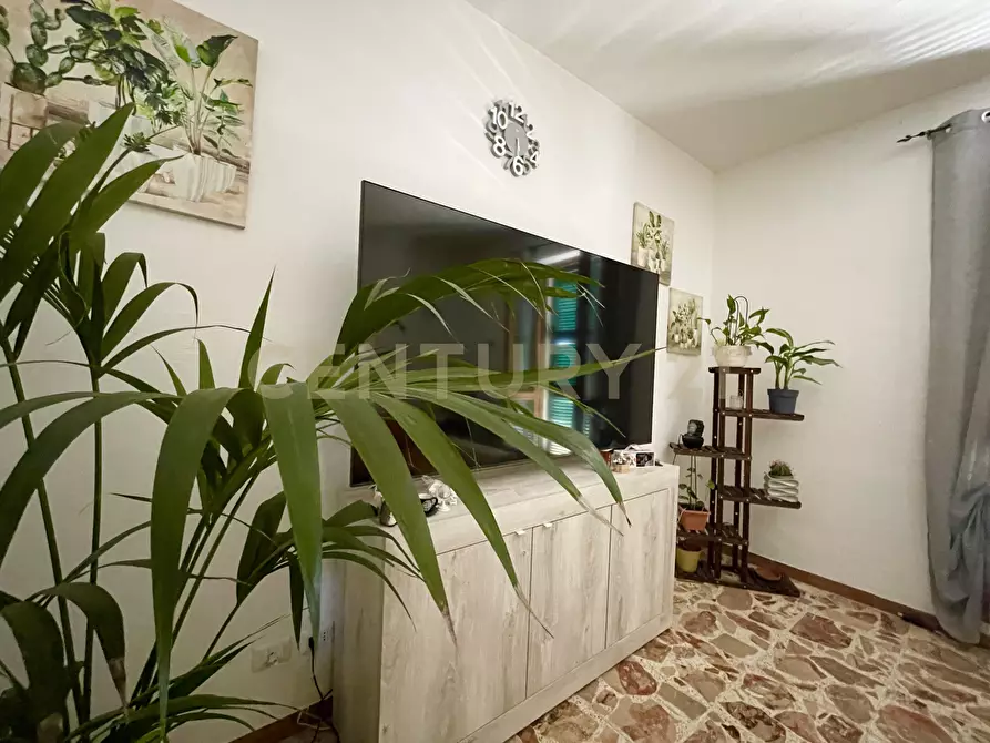 Immagine 3 di Attico in vendita  a Magliano In Toscana