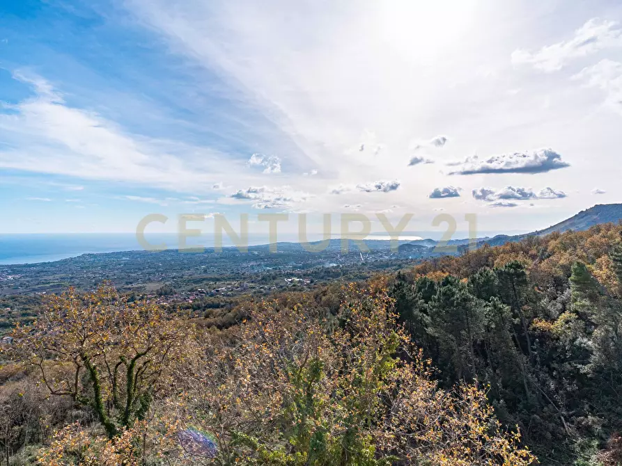 Immagine 11 di Capannone industriale in vendita  in Via Cassone 75 a Zafferana Etnea