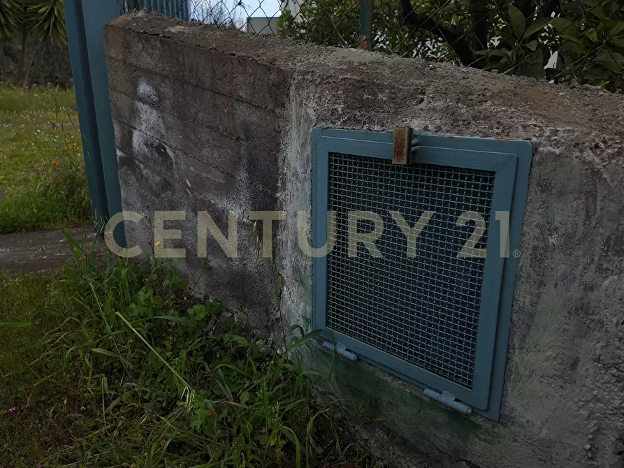 Immagine 21 di Terreno agricolo in vendita  in Contrada malvezzaro a Santa Maria Di Licodia