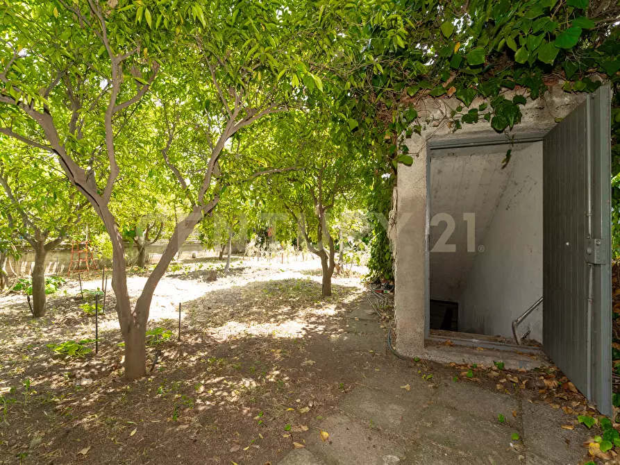 Immagine 27 di Villa in vendita  in Via Salemi 18 a Mascalucia