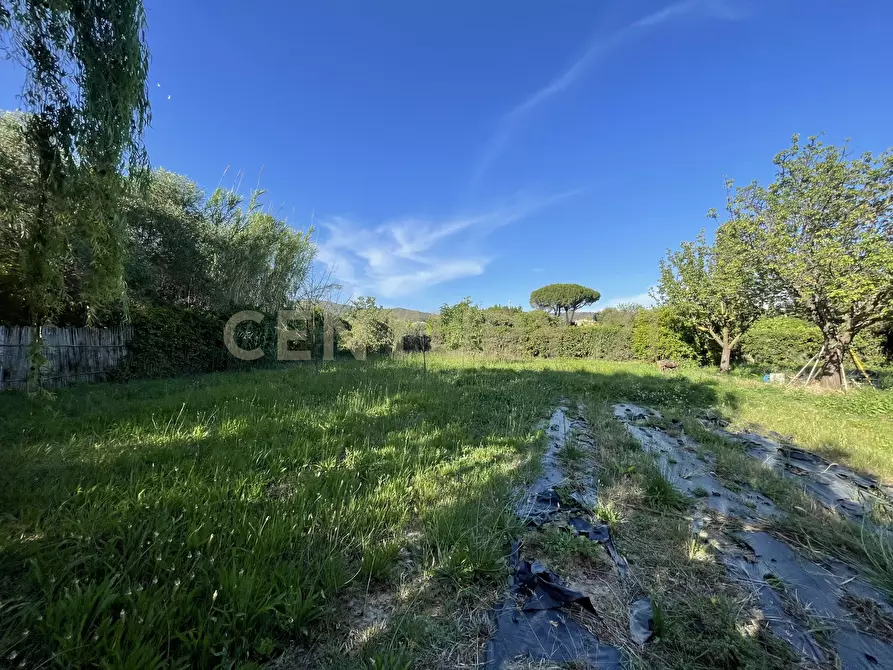 Immagine 3 di Terreno agricolo in vendita  in Via di Cameretta a Orbetello