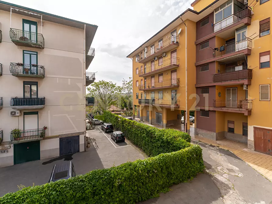 Immagine 16 di Quadrilocale in vendita  in Via Marcellino Giuseppe 19 a Catania
