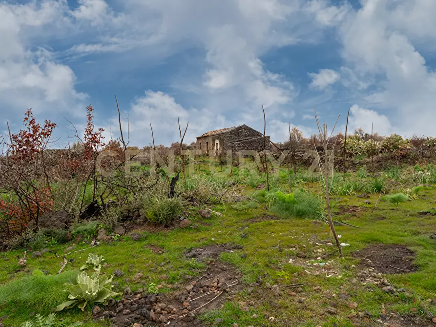 Immagine 14 di Terreno agricolo in vendita  in Via Santa Maria di Licodia a Belpasso