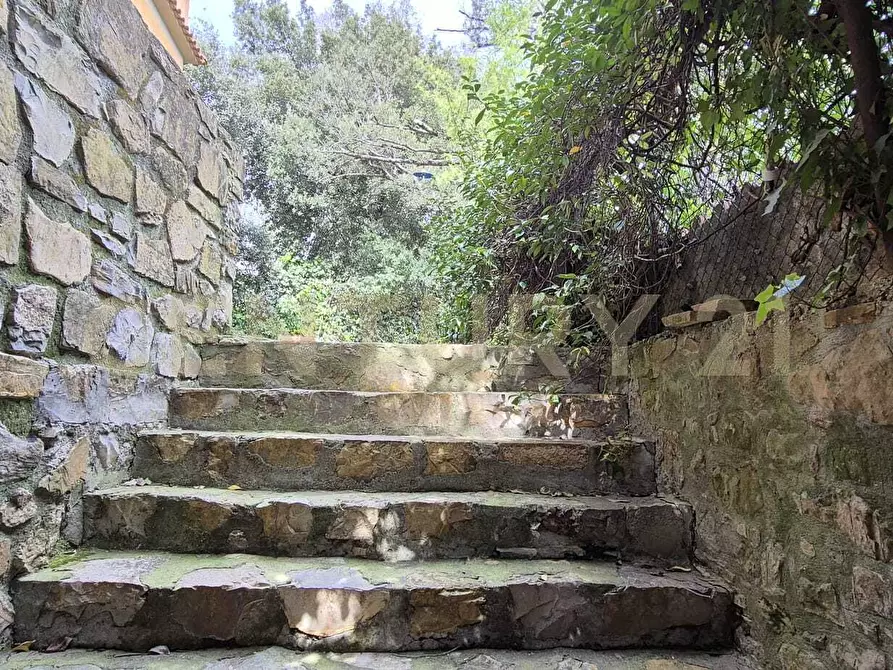 Immagine 18 di Quadrilocale in vendita  in via dei mille 38 a Magliano In Toscana