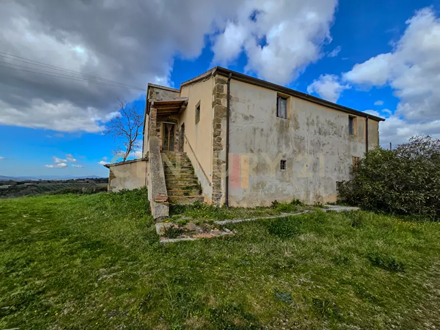 Immagine 7 di Rustico / casale in vendita  in località mandorlaie a Scansano