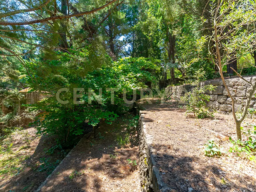 Immagine 19 di Villa in affitto  in Strada Regionale Mareneve SNC a Linguaglossa