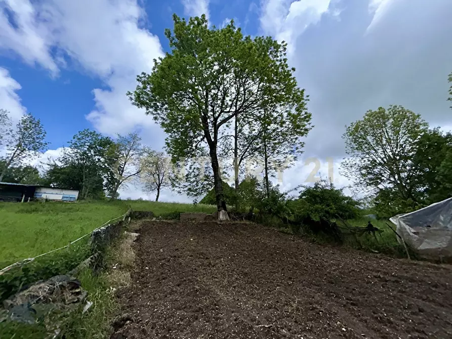 Immagine 5 di Terreno agricolo in vendita  in Contrada Tezze a Velo Veronese