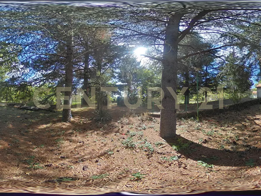 Immagine 58 di Villa in vendita  in Contrada Scolaro Cisterna a Adrano