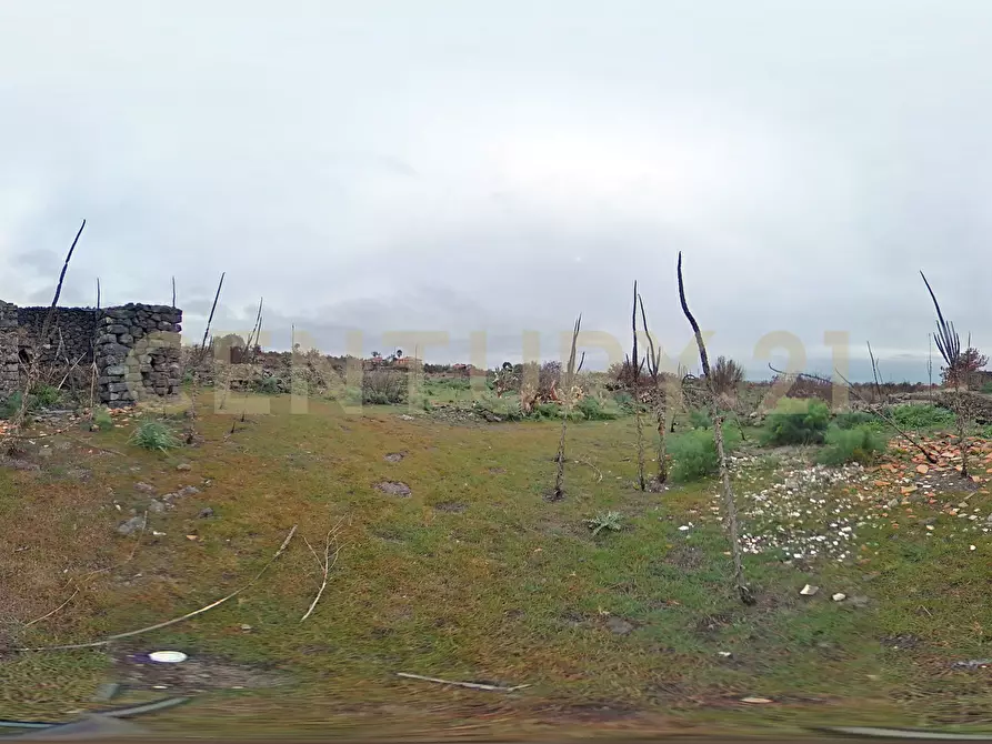 Immagine 27 di Terreno agricolo in vendita  in Via Santa Maria di Licodia a Belpasso
