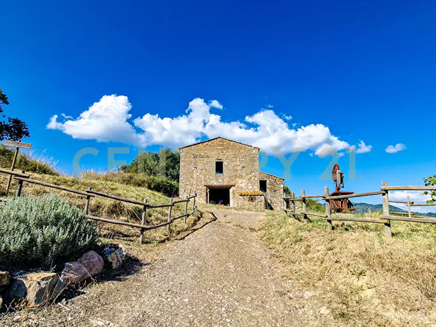 Immagine 1 di Rustico / casale in vendita  in località case cinigliano a Roccastrada