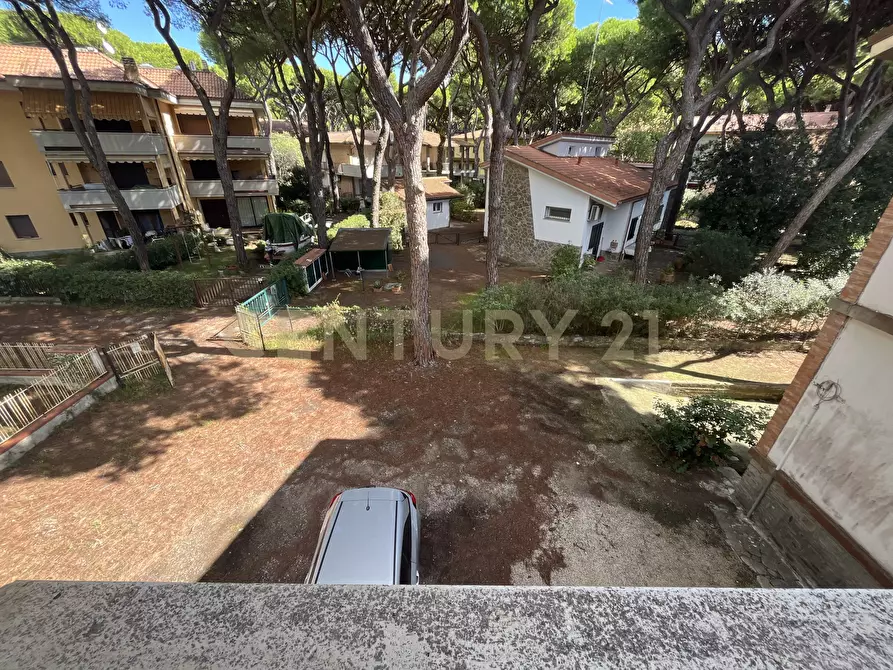 Immagine 20 di Pentalocale in vendita  in via delle ginevre 21 a Grosseto