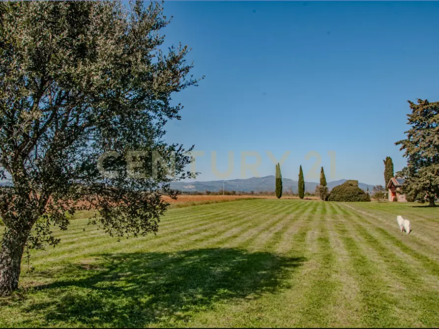 Immagine 46 di Rustico / casale in vendita  in località podere dogana a Roccastrada