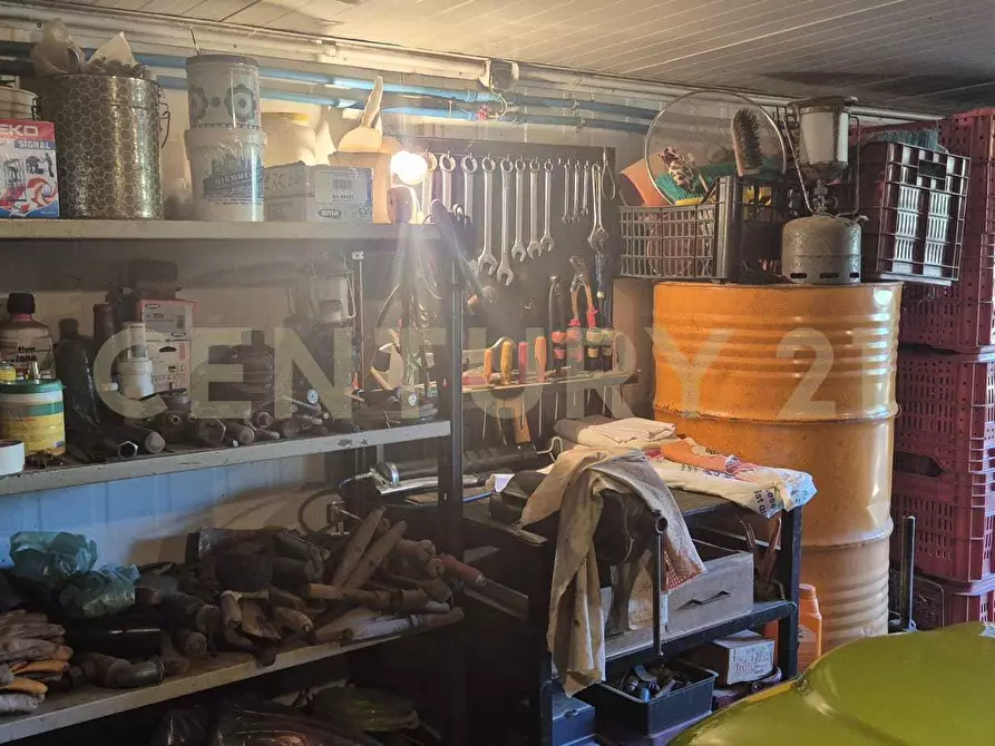 Immagine 38 di Azienda agricola in vendita  in località poggio al capraio snc a Roccastrada