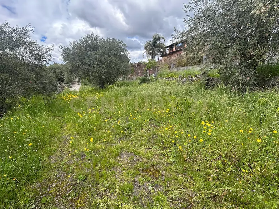 Immagine 30 di Terreno edificabile in vendita  in Viale Giovanni Falcone 9 a Camporotondo Etneo