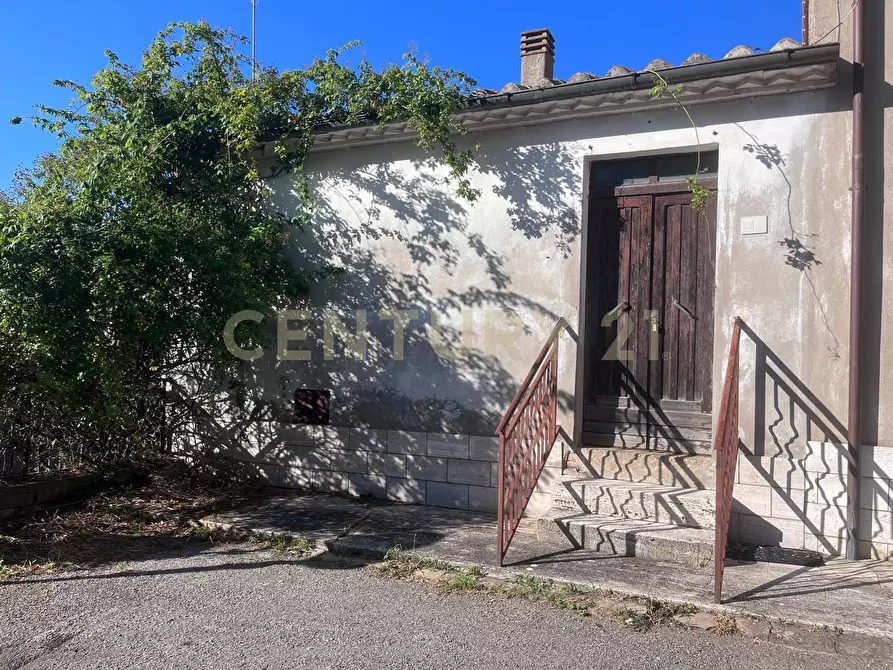 Immagine 18 di Terratetto in vendita  in Località Poggio Murella a Manciano