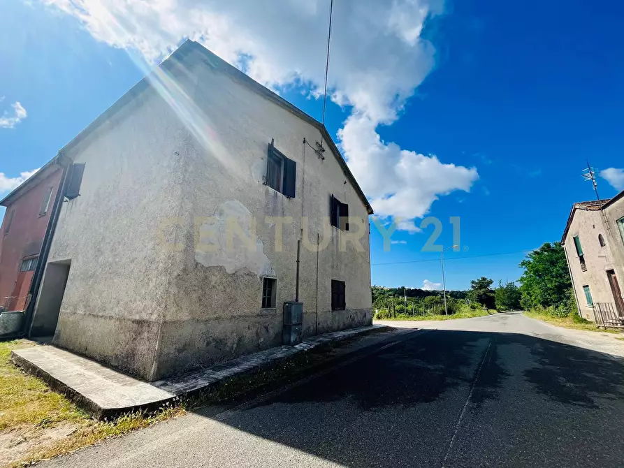 Immagine 22 di Appartamento in vendita  in Via Case Balducci 17 a Scansano