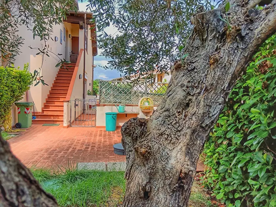 Immagine 12 di Villetta a schiera in vendita  in strada comunale della marsiliana 7 a Magliano In Toscana