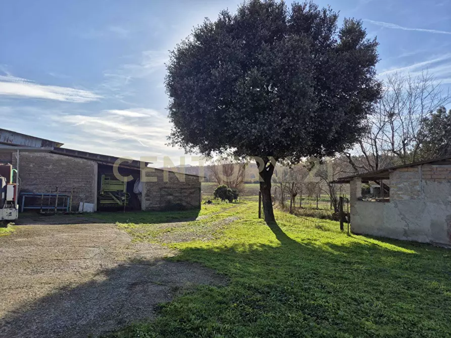 Immagine 24 di Rustico / casale in vendita  in località aratrice a Civitella Paganico