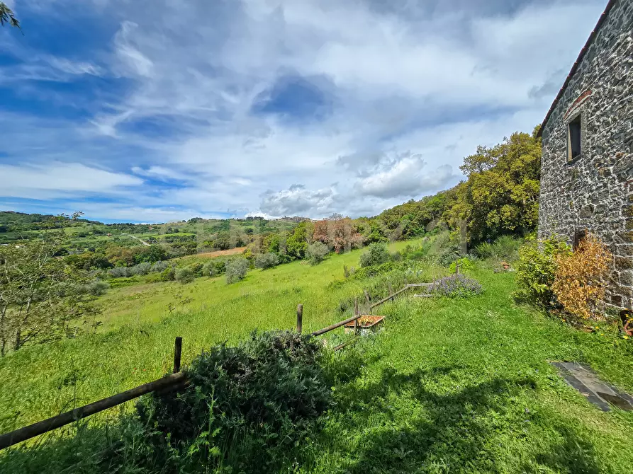 Immagine 16 di Rustico / casale in vendita  in podere le rocchette snc a Roccastrada