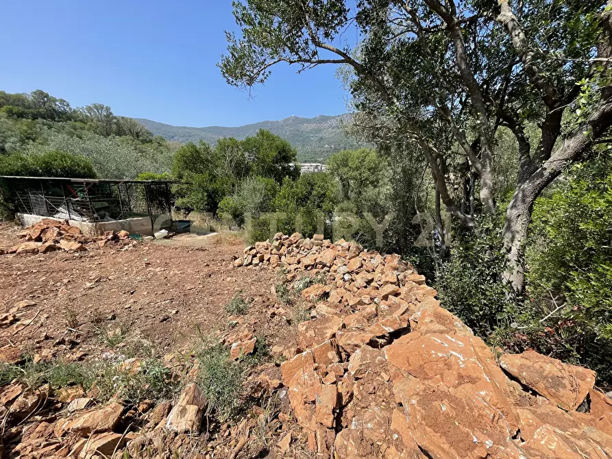 Immagine 6 di Rustico / casale in vendita  in località cannatelli snc a Monte Argentario