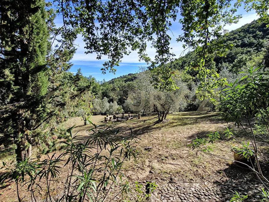 Immagine 30 di Casa indipendente in vendita  in Via della Mengona 32 a Roccastrada