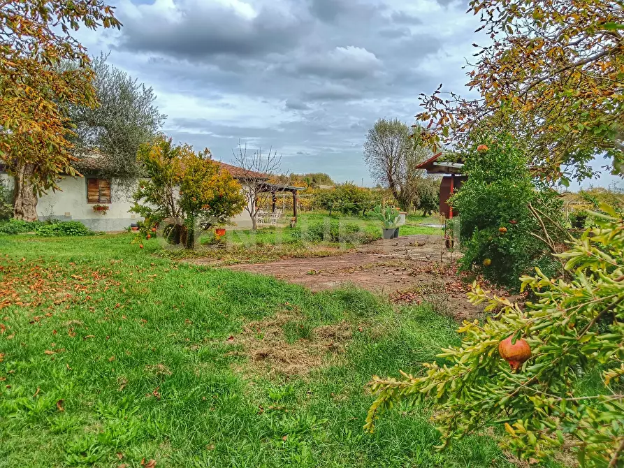 Immagine 39 di Rustico / casale in vendita  in località i chiostri a Piancastagnaio